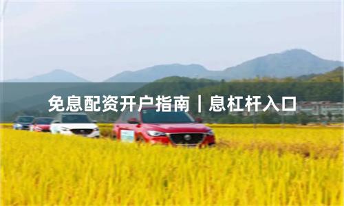 免息配资开户指南｜息杠杆入口