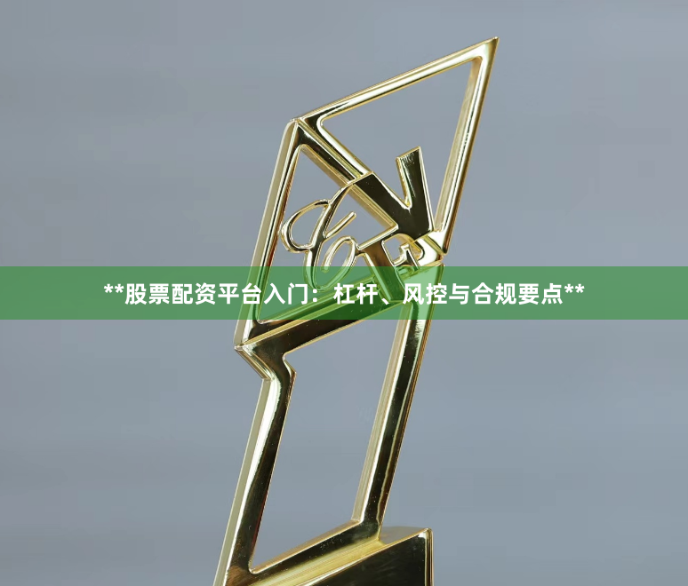 **股票配资平台入门：杠杆、风控与合规要点**