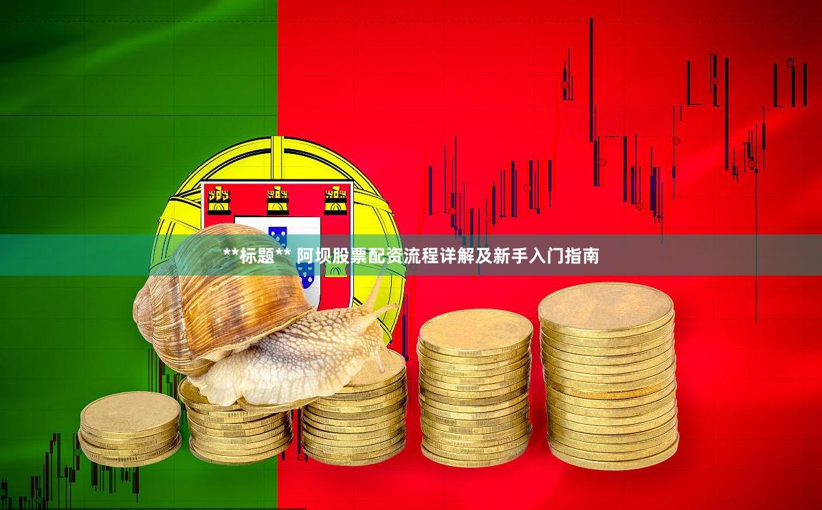 **标题** 阿坝股票配资流程详解及新手入门指南